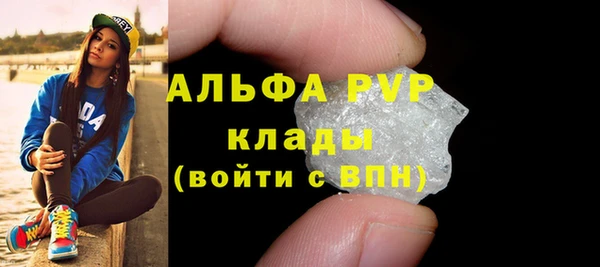 ECSTASY Белокуриха
