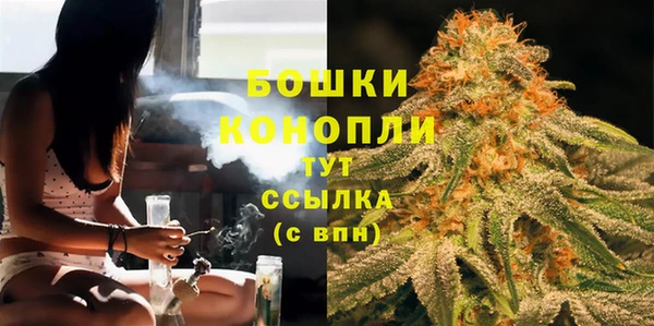 ECSTASY Белокуриха