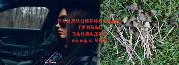ГАЛЛЮЦИНОГЕННЫЕ ГРИБЫ Балахна