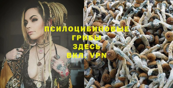крисы Белоозёрский